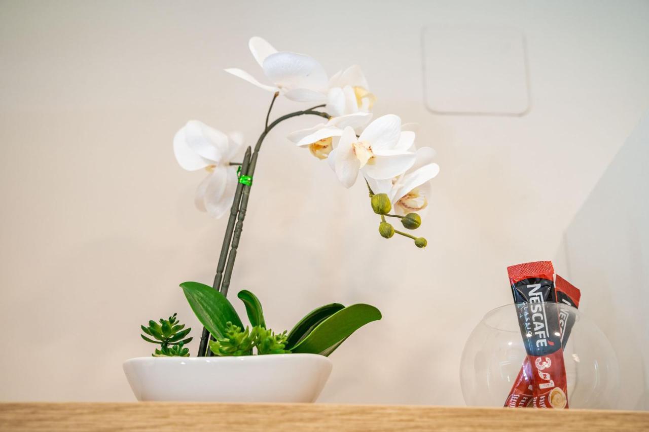 Studio Apartment Lapad Dubrownik Zewnętrze zdjęcie