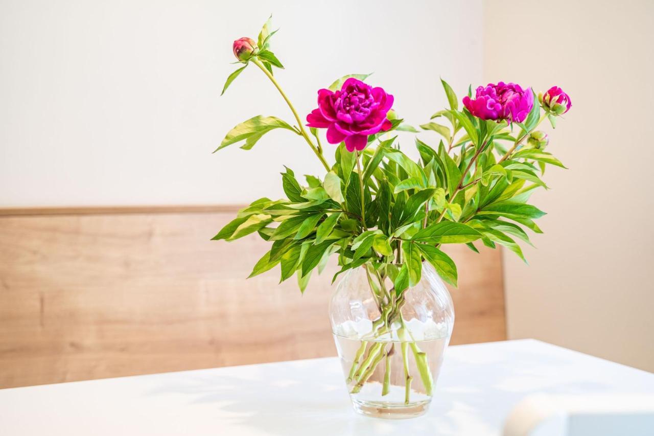 Studio Apartment Lapad Dubrownik Zewnętrze zdjęcie